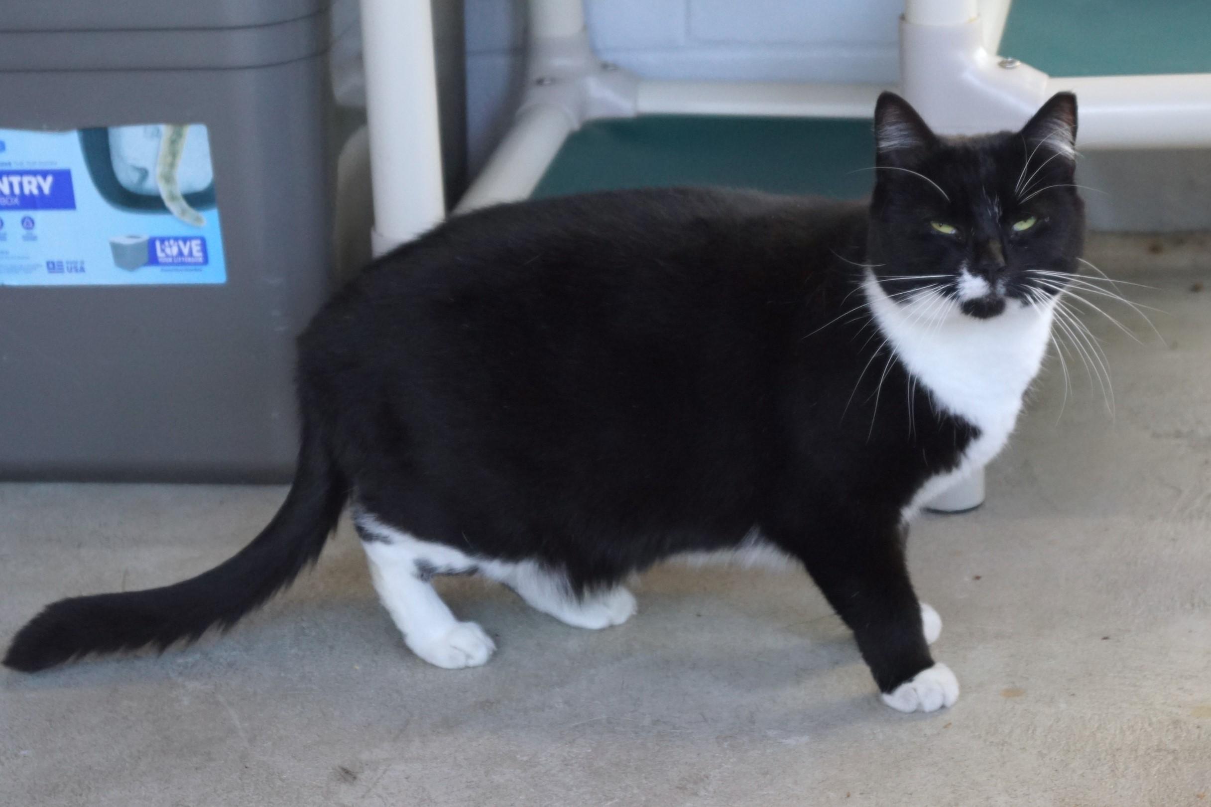 Maggie Mae thumbnail 2