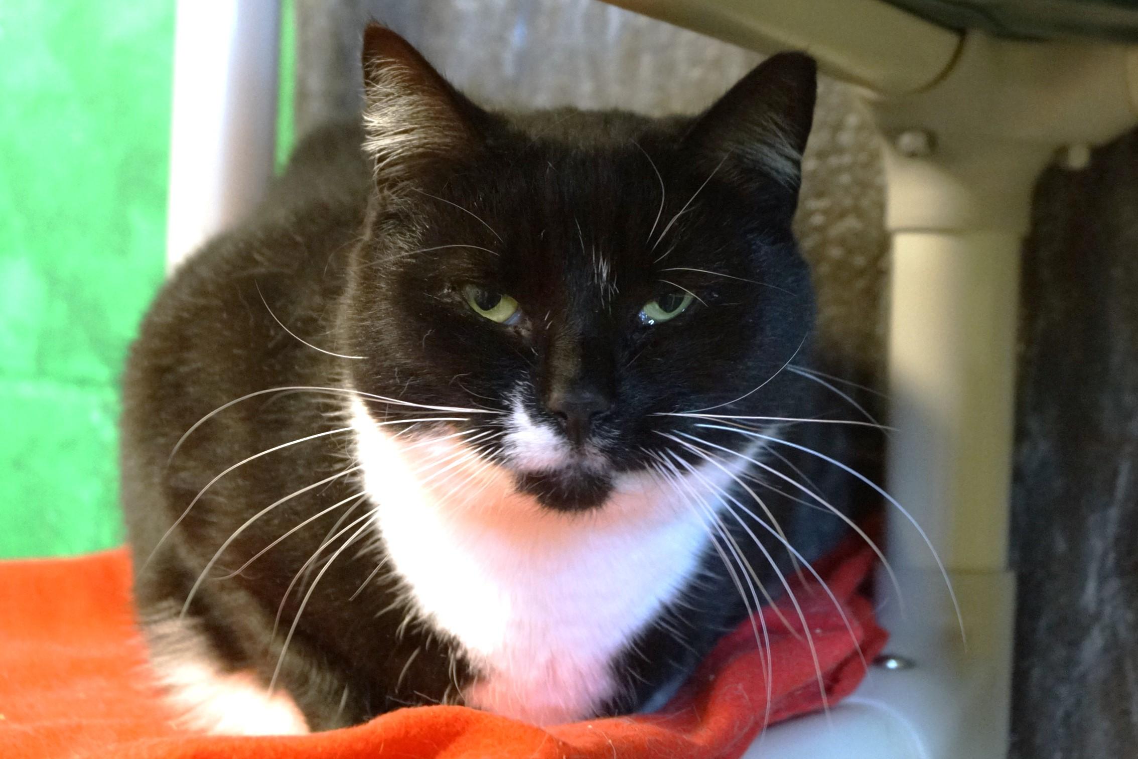 Maggie Mae thumbnail 5