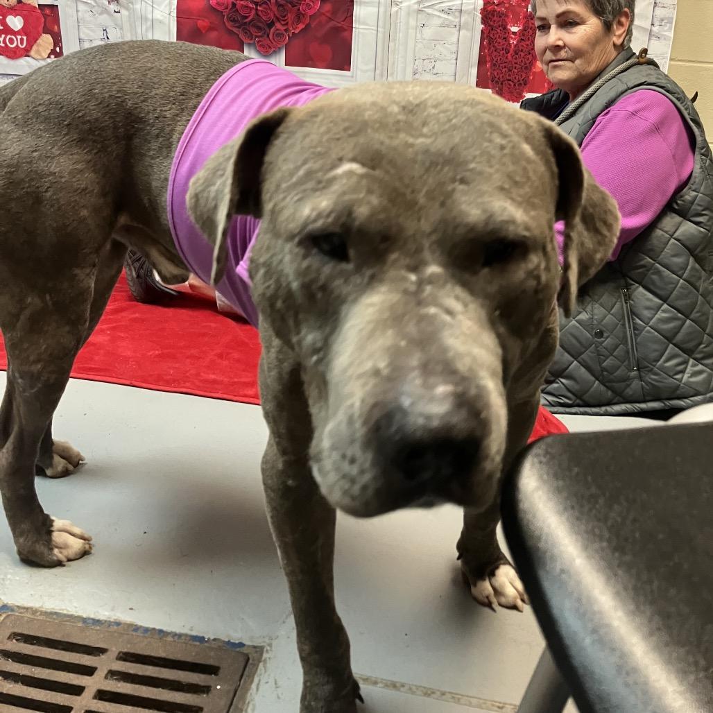 Mellow 4201 — thumbnail 5