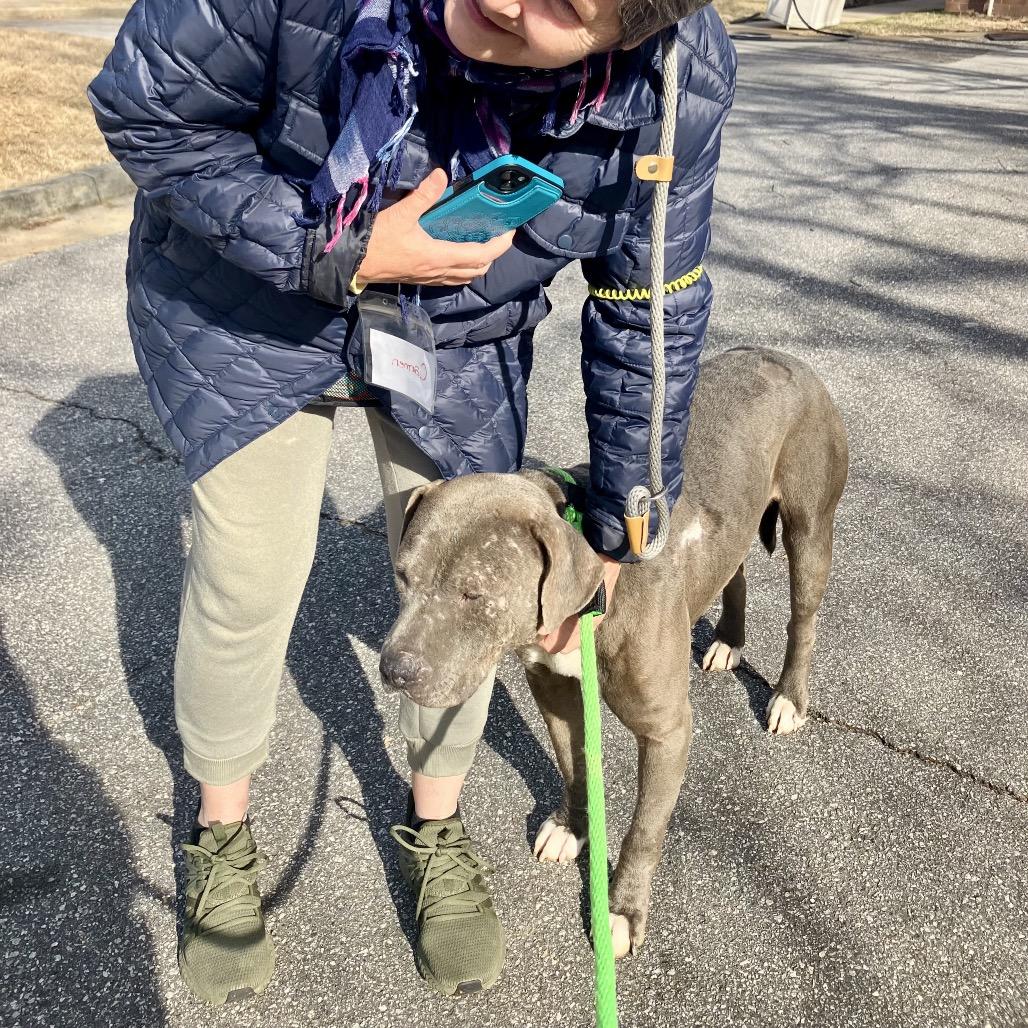 Mellow 4201 — thumbnail 6