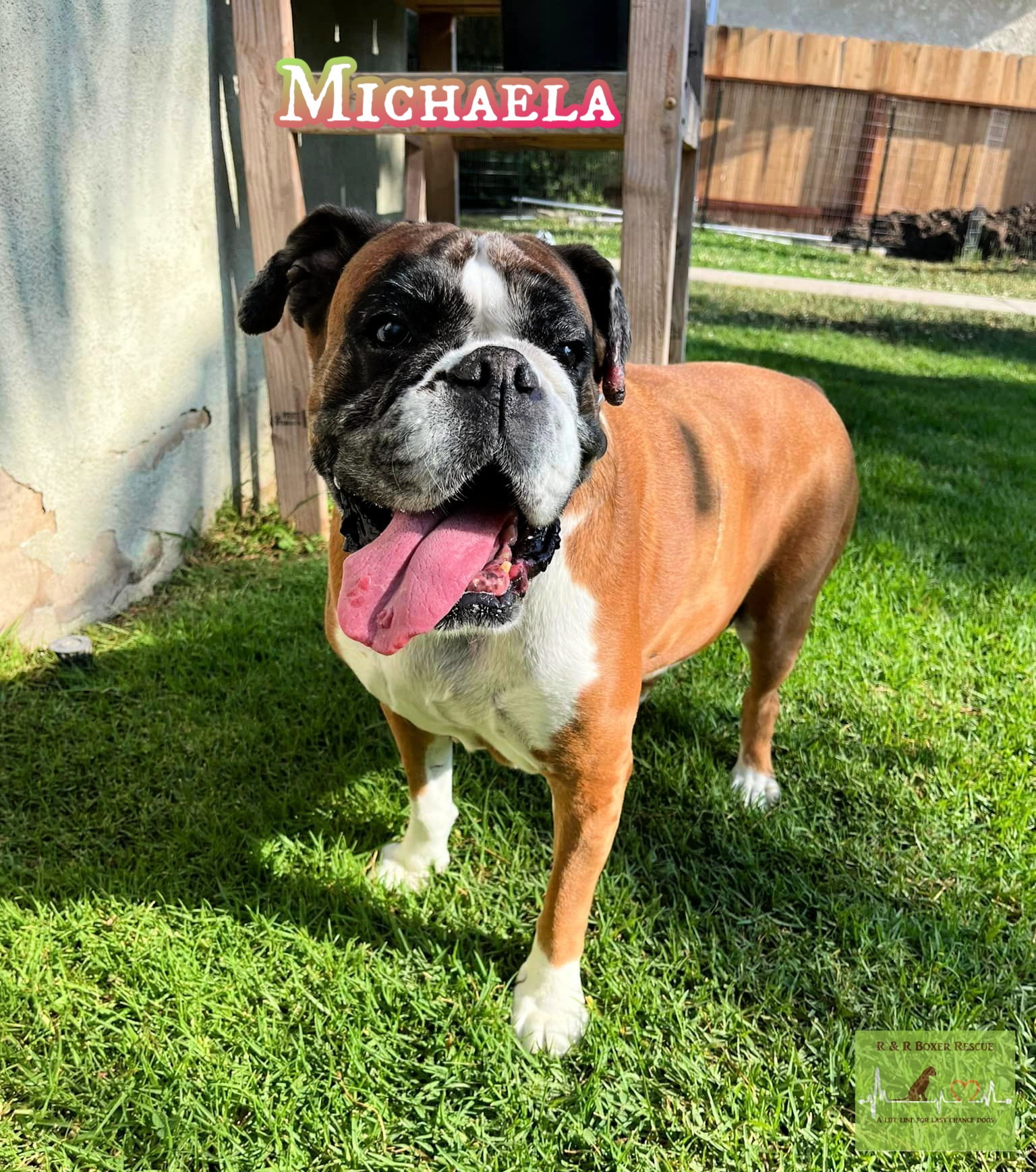 Michaela (Mickey)