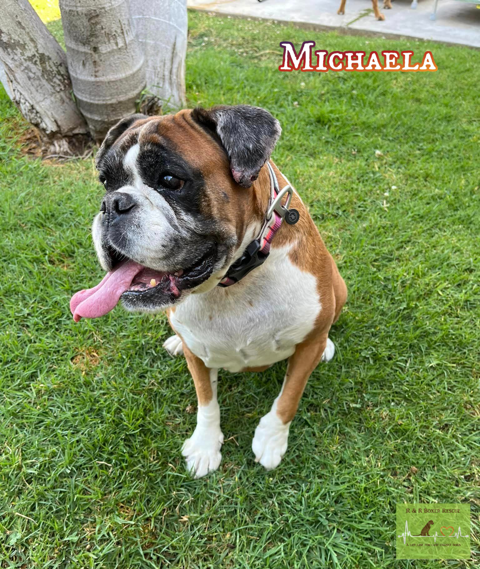 Michaela (Mickey)