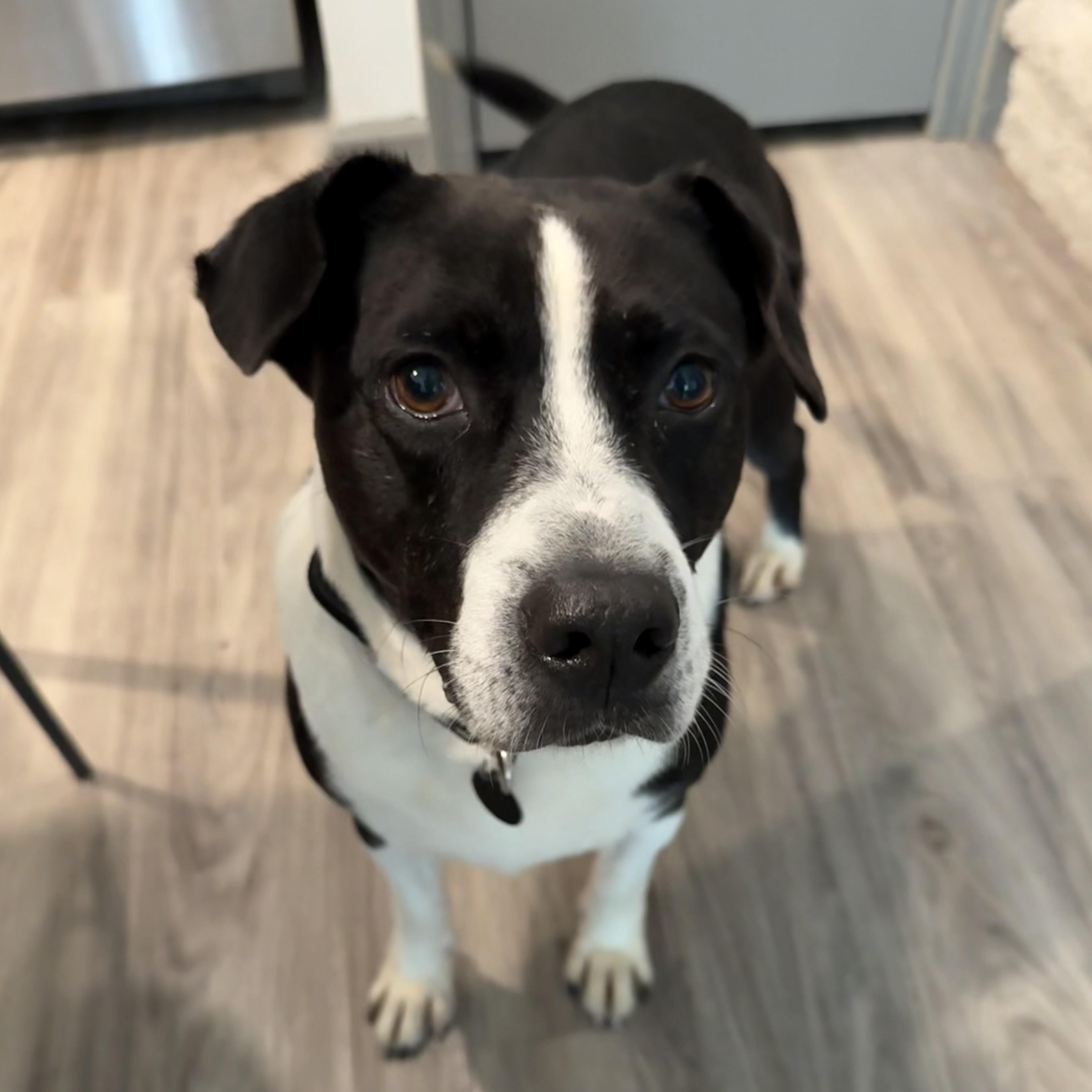 Governor — thumbnail 2