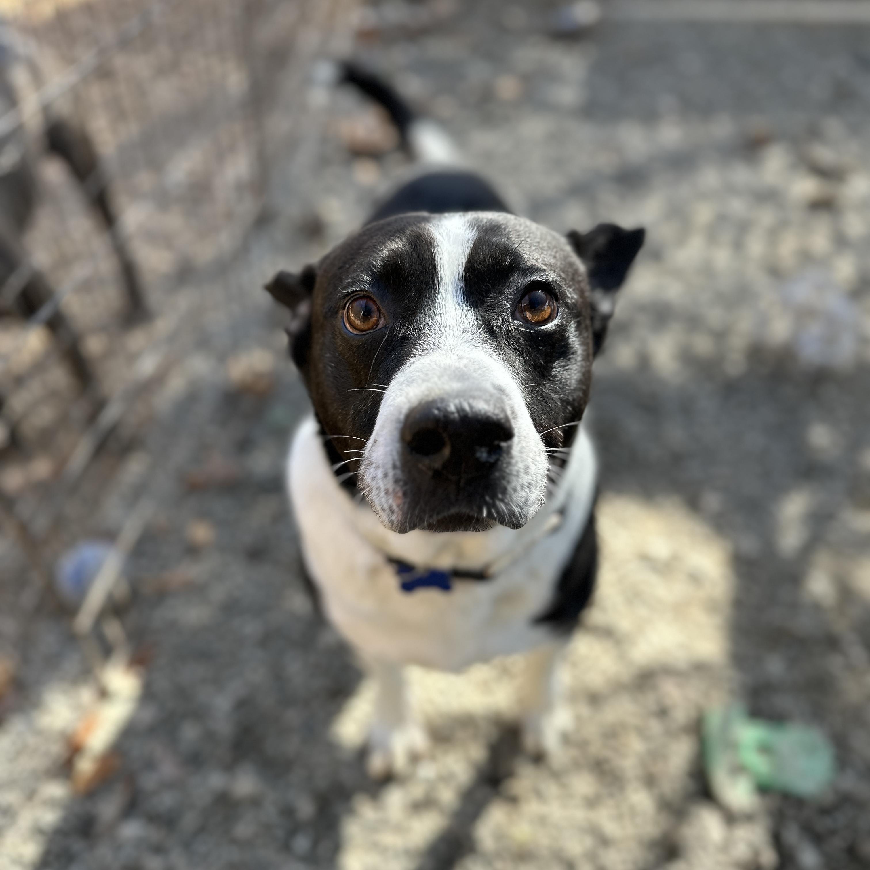 Governor — thumbnail 4