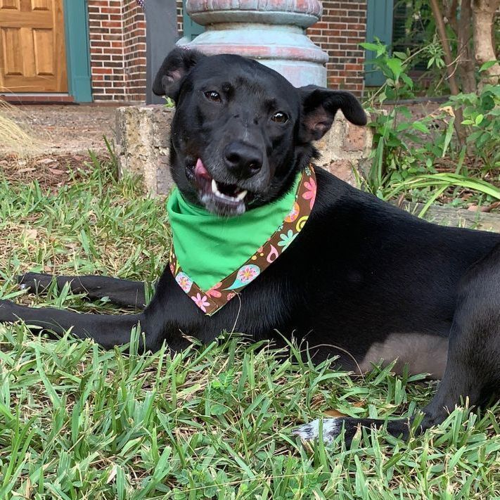 MISTY MOON A HAPPY LOVING GIRL! 2