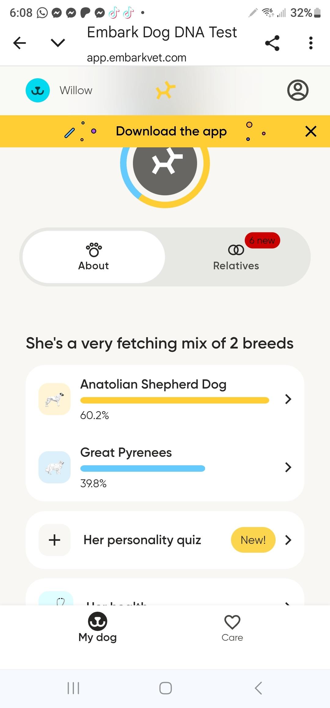 Willow, an adopted mixed breed in Oakville, WA image 4/4