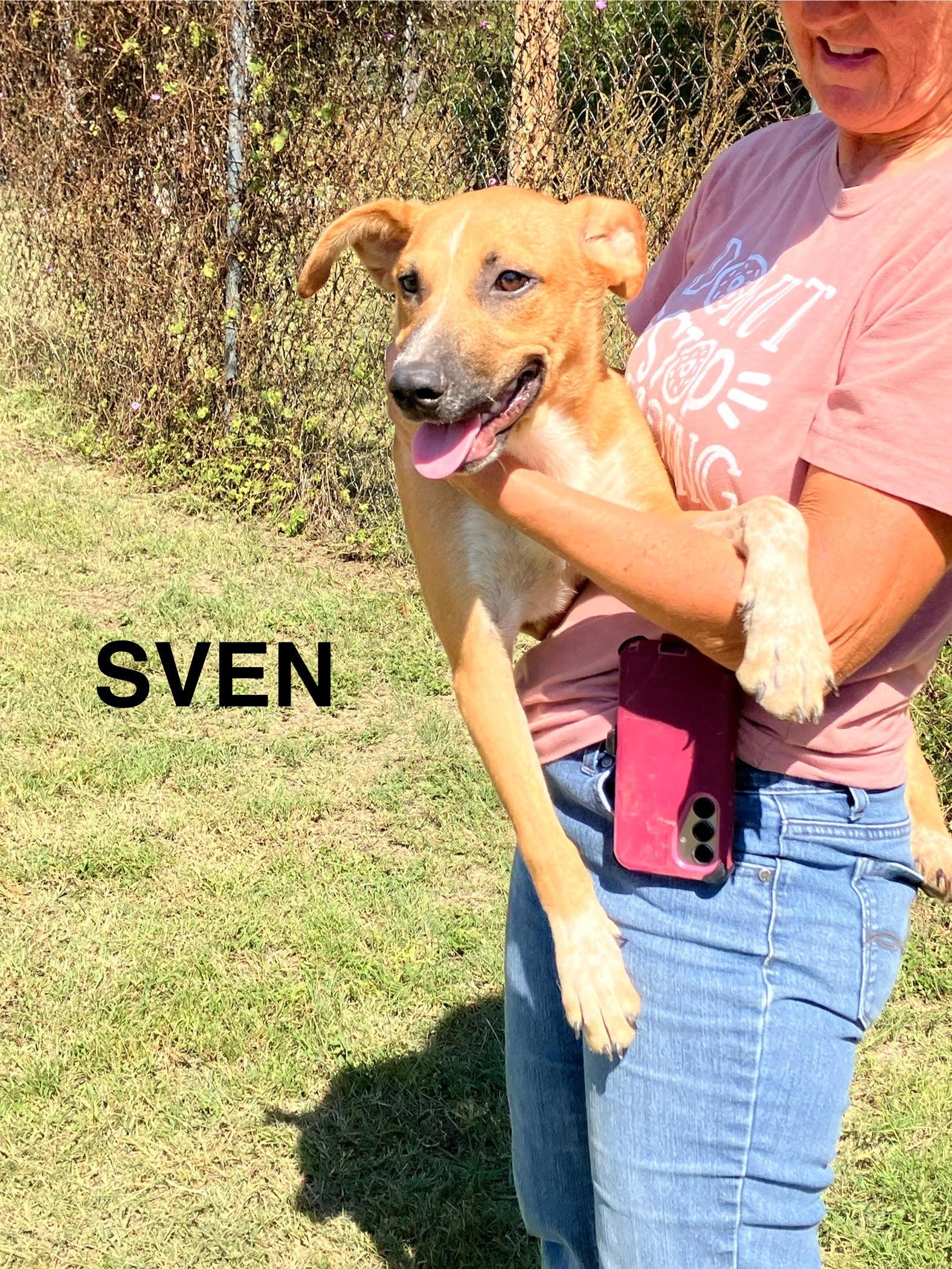 SVEN-Seriously Silly