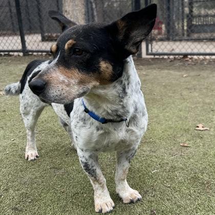 Logan — thumbnail 2