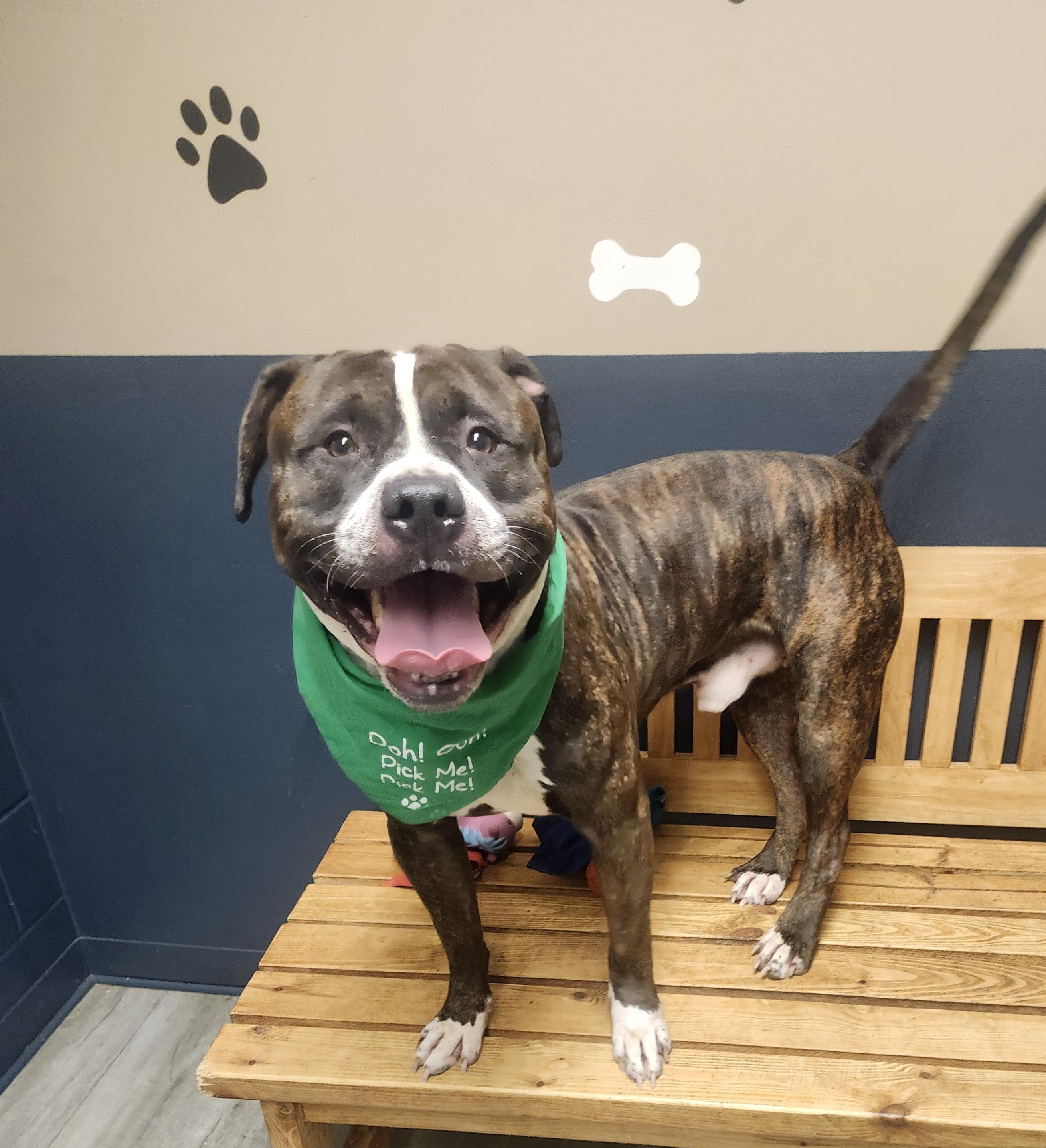 Snack Wrap thumbnail 2