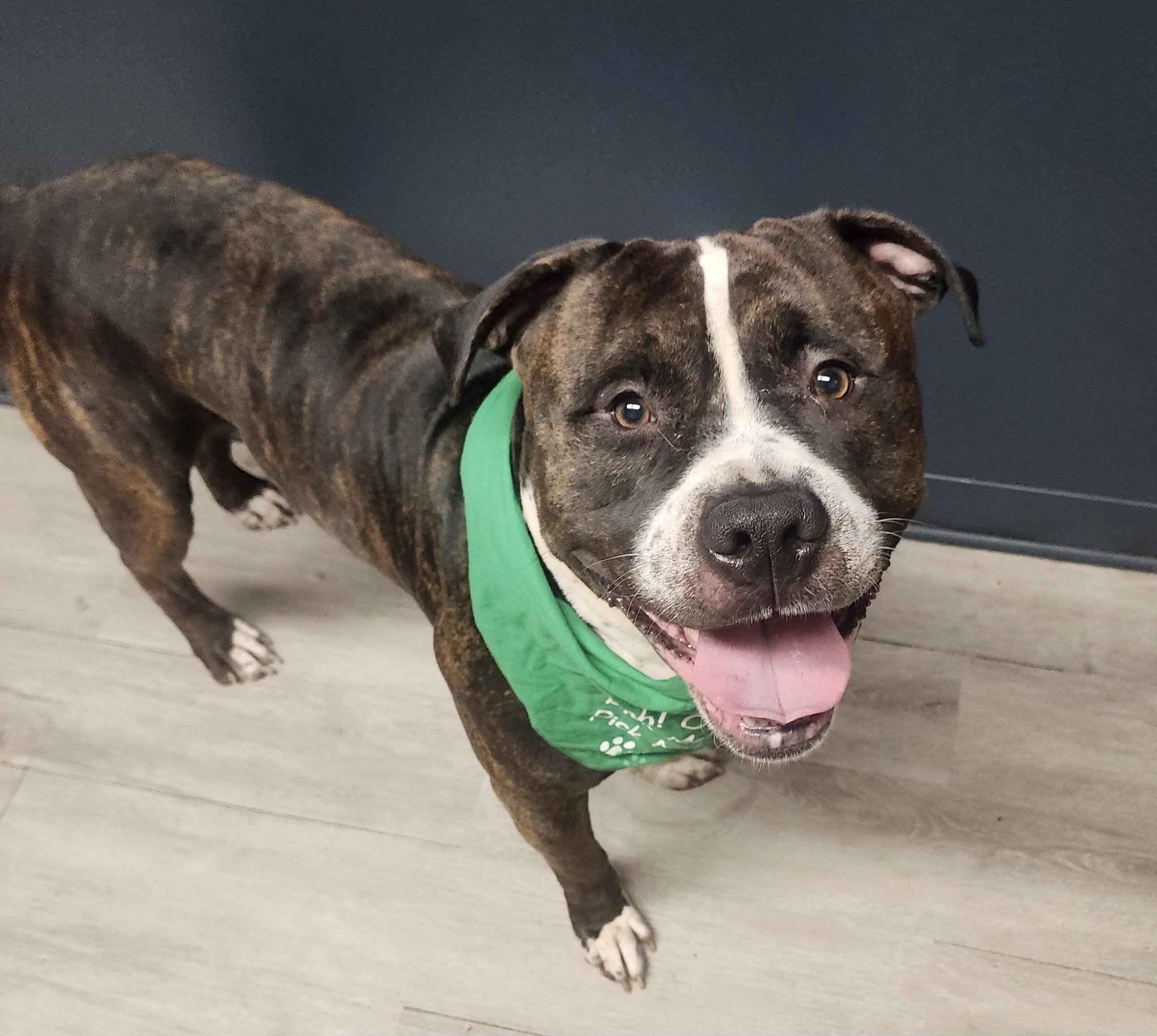 Snack Wrap thumbnail 4