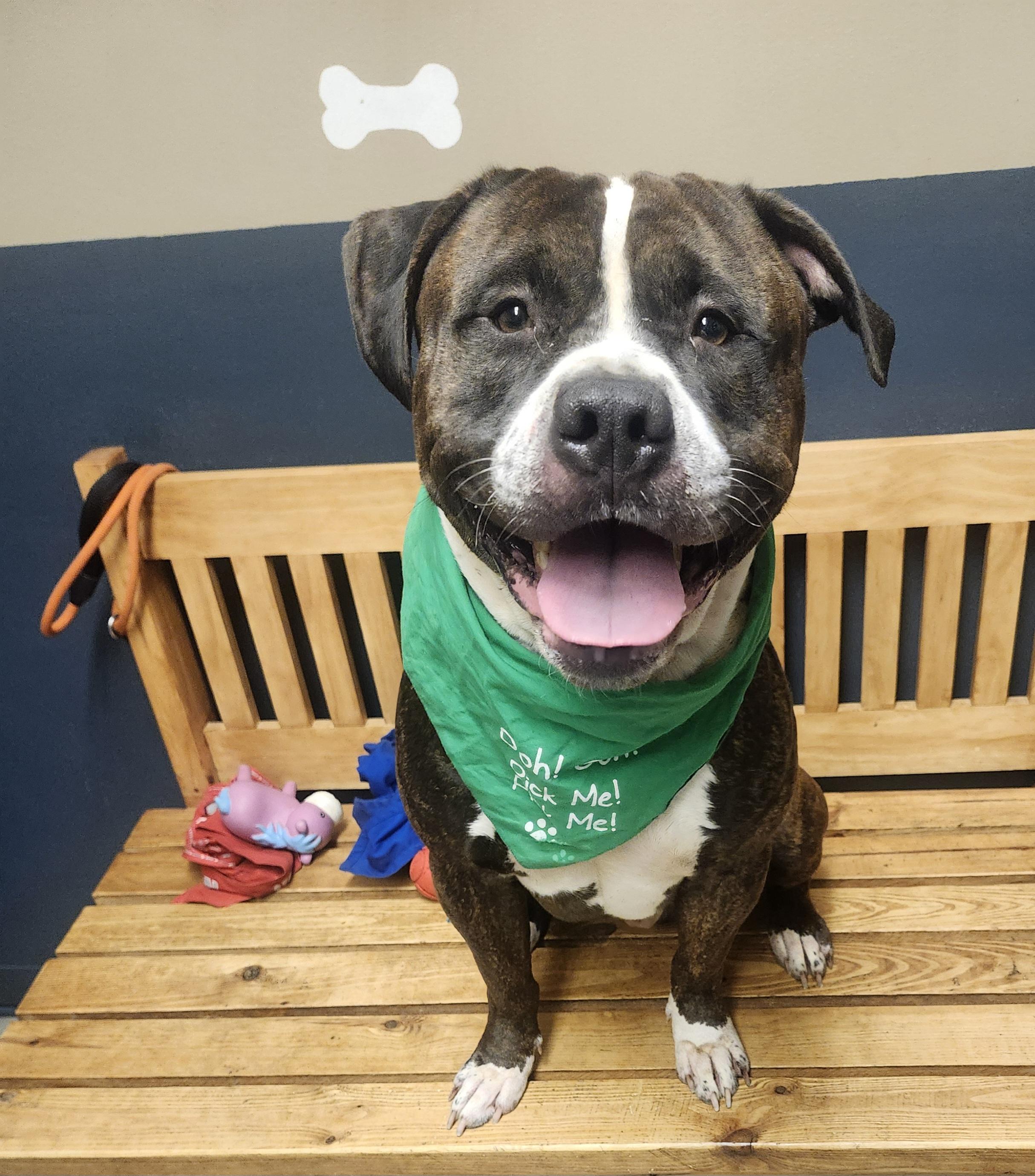 Snack Wrap thumbnail 5