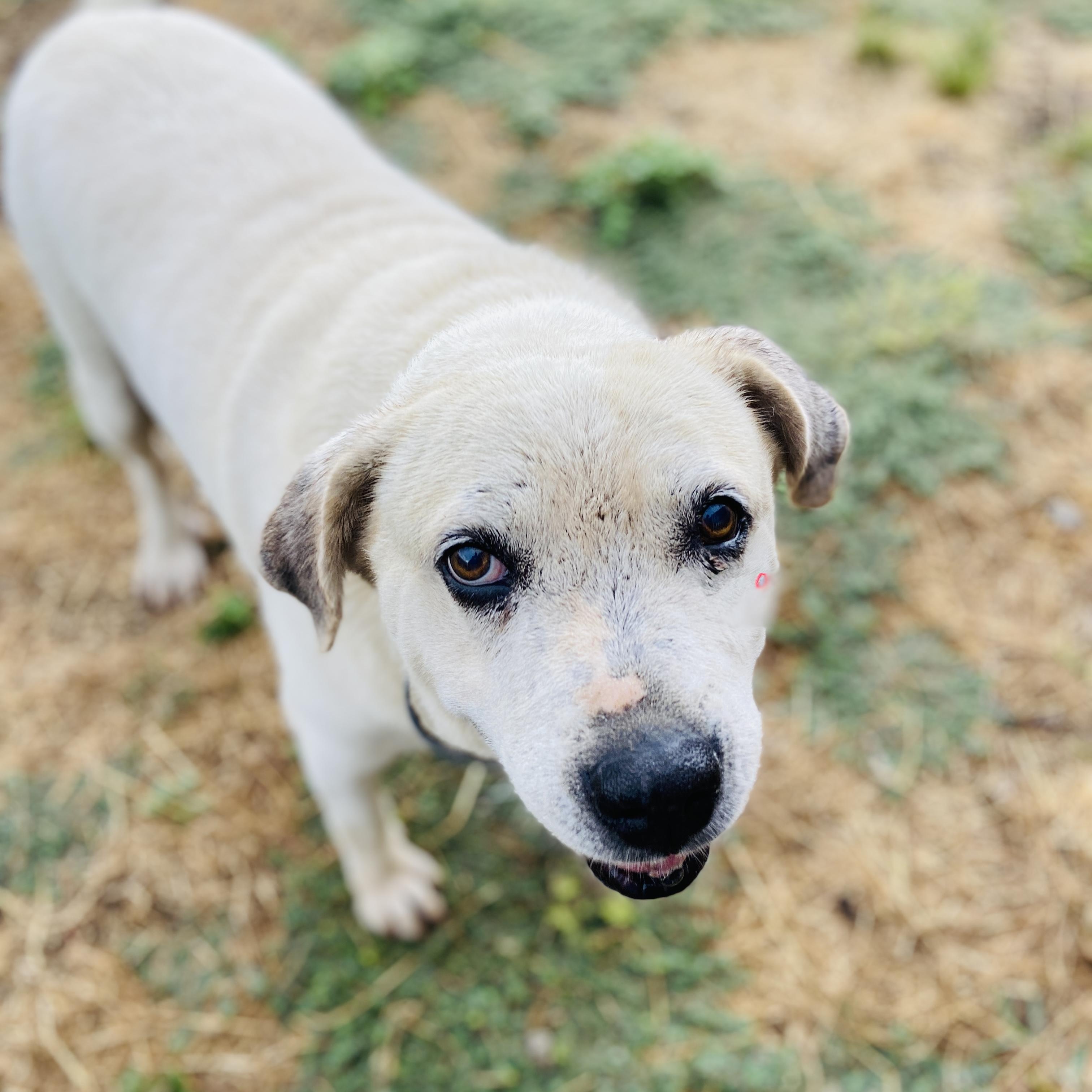 *Kelly & Kenny (Bonded Pair)