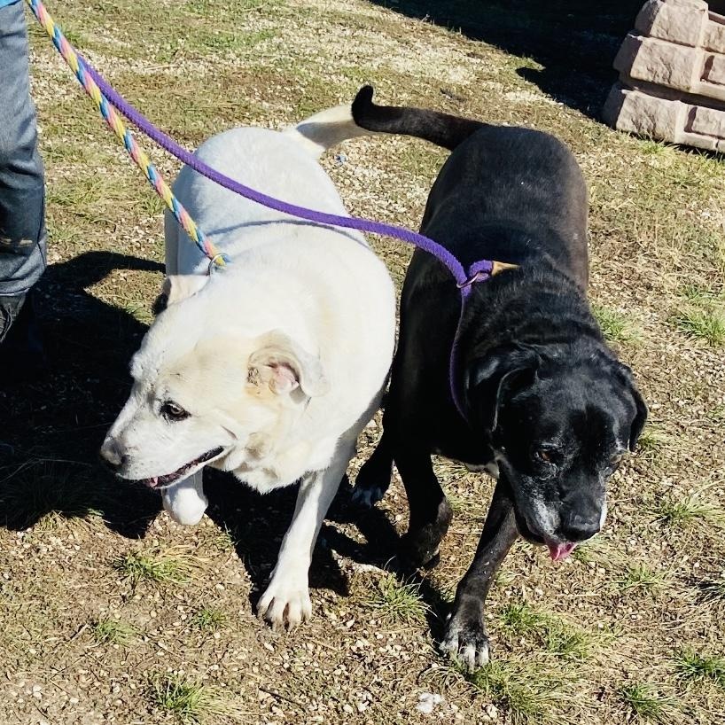 *Kelly & Kenny (Bonded Pair)