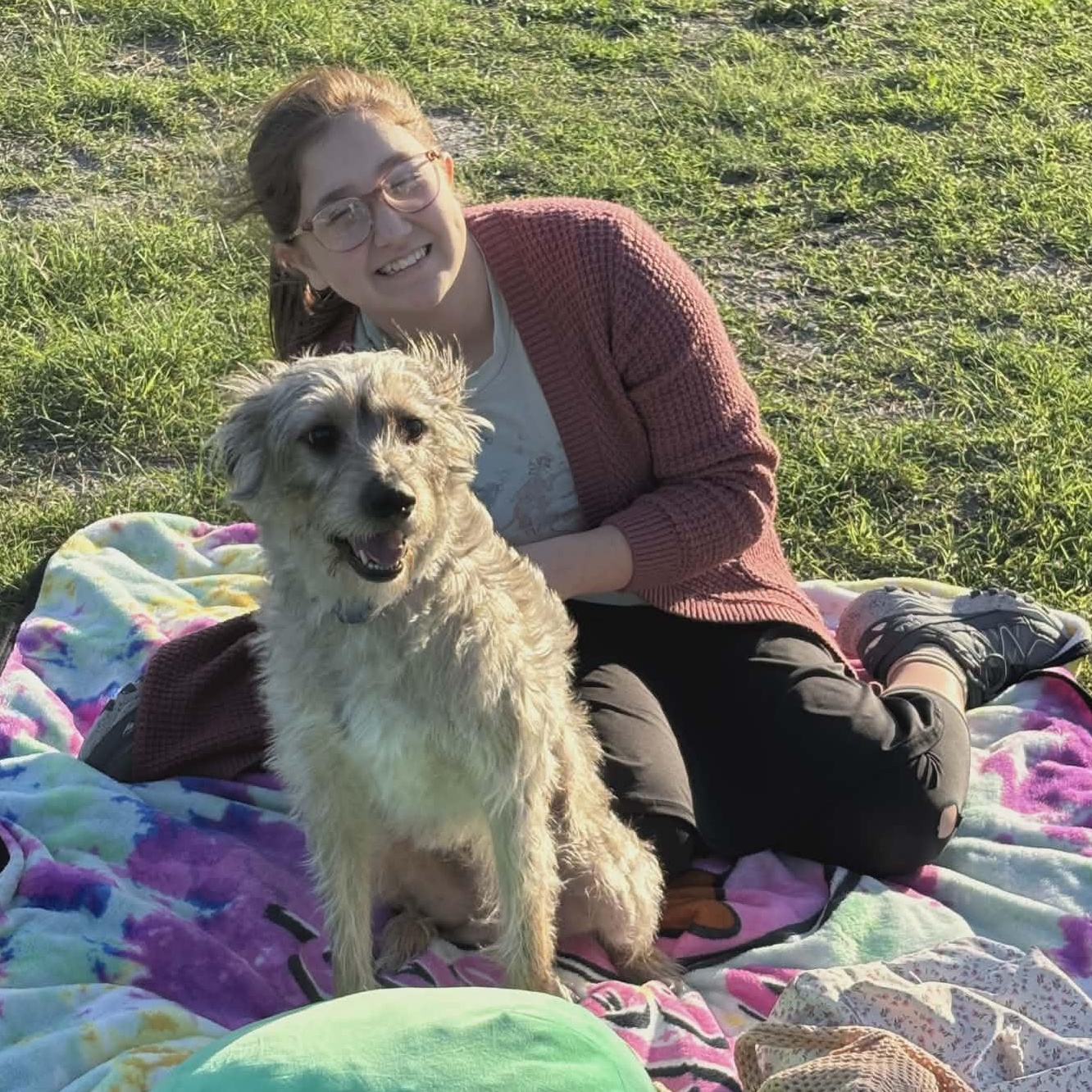 Enlarge Milo, an adopted mixed breed in Seattle, WA image 3/6