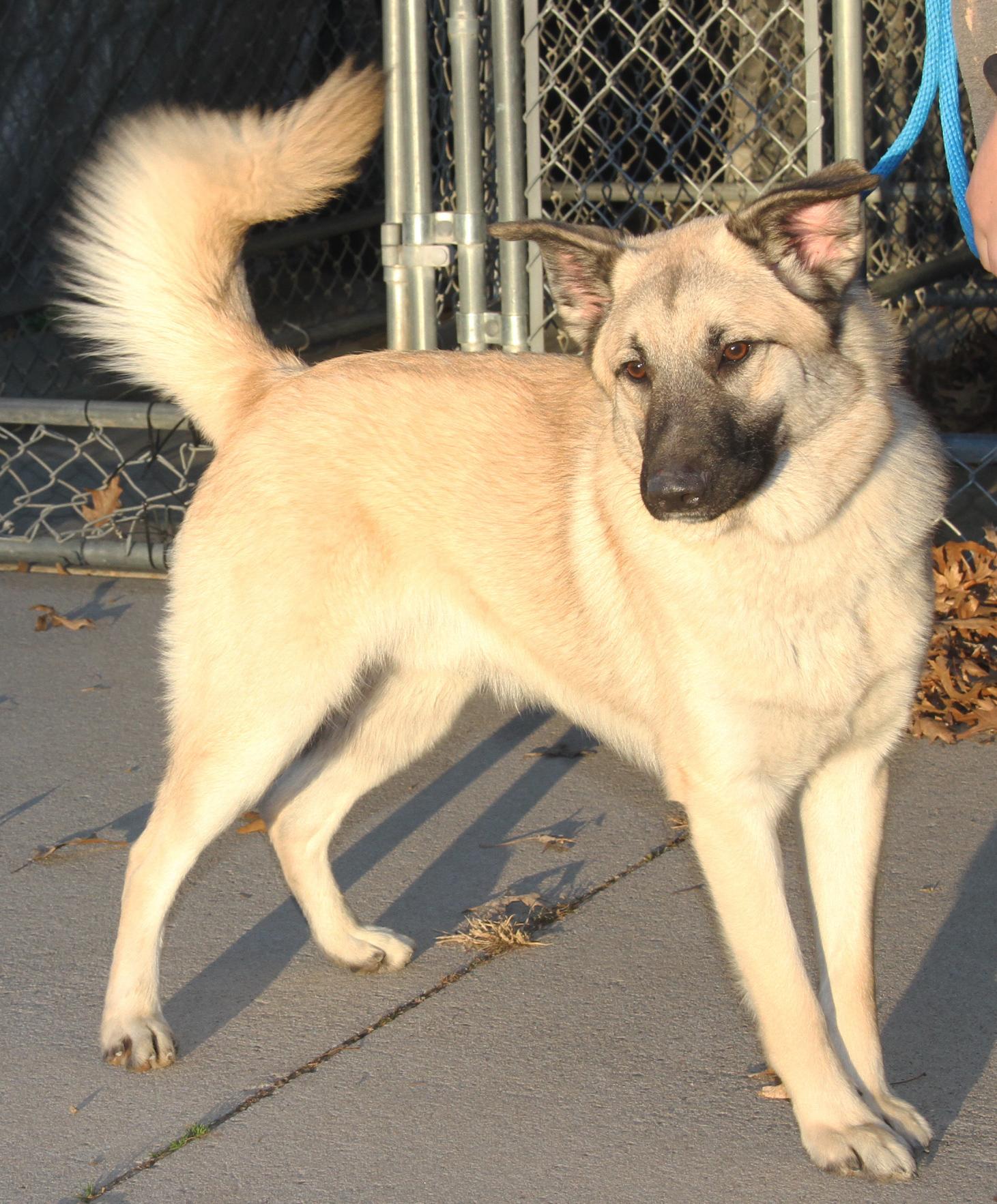 Hennessy And Whiskey thumbnail 2