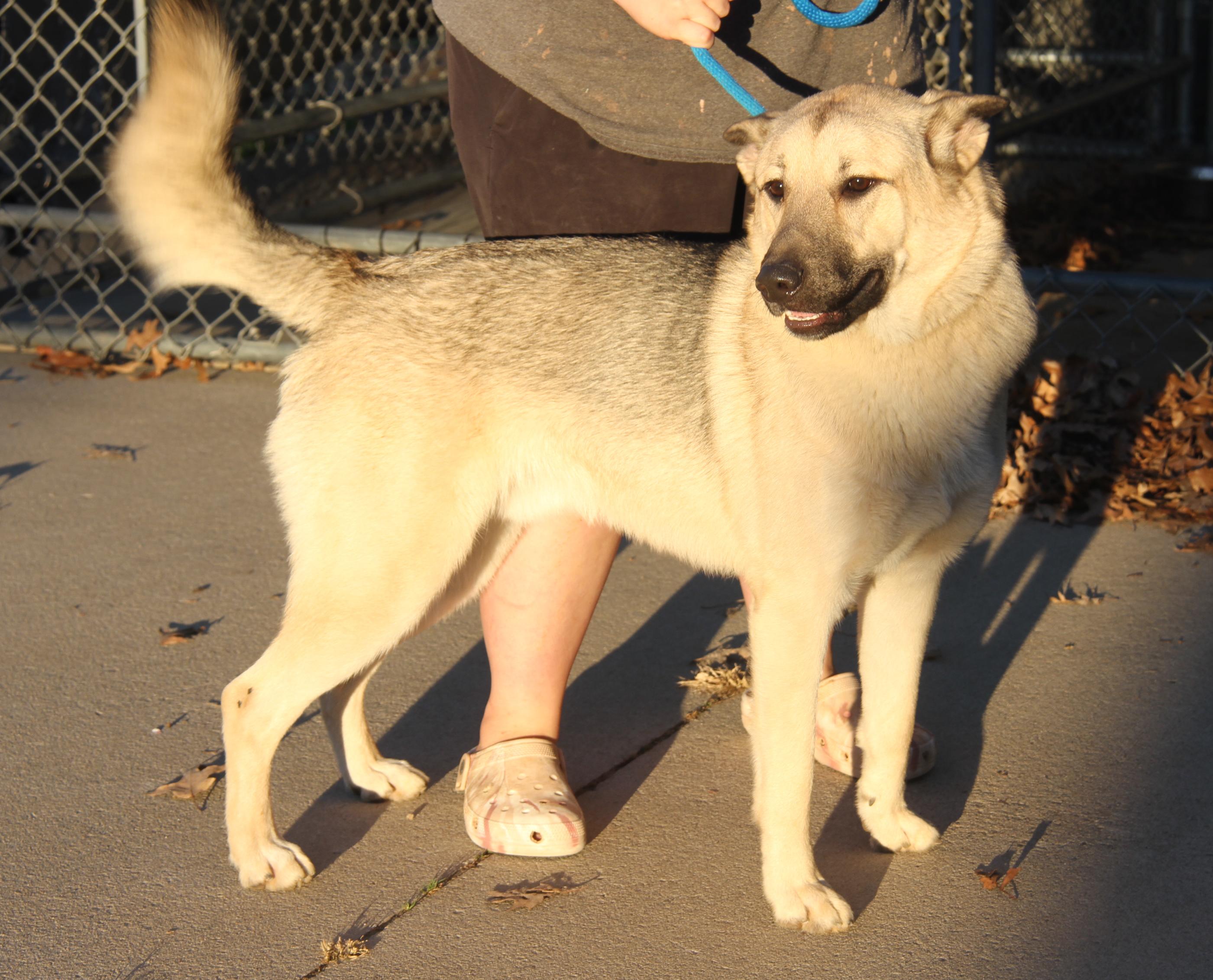 Hennessy and Whiskey