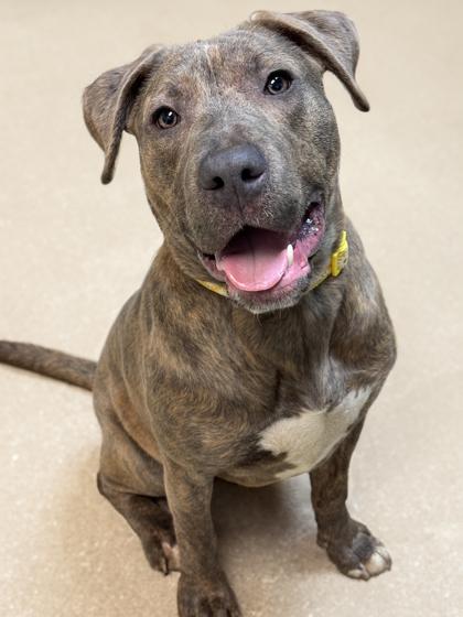 Bethany — thumbnail 3