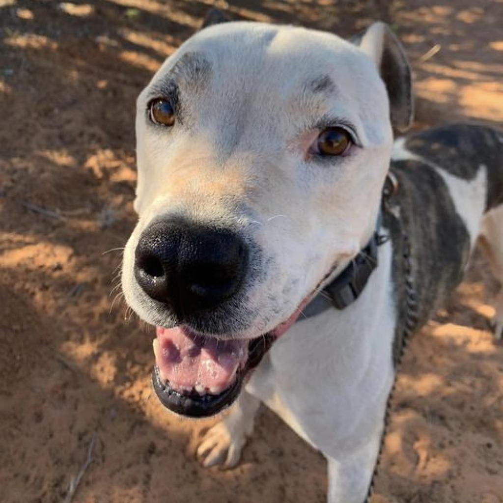 Rudy — thumbnail 2