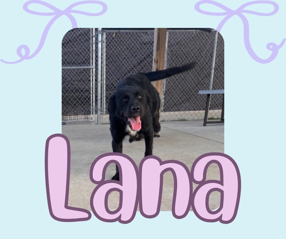 Lana thumbnail 4