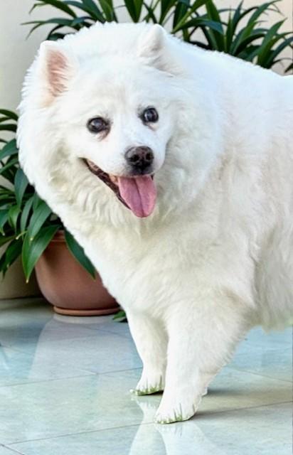 Sophie — thumbnail 3