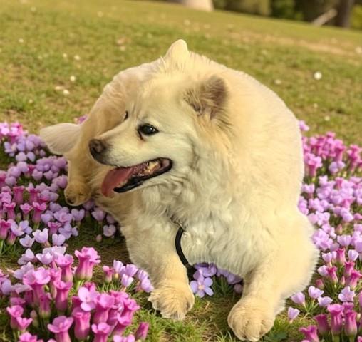 Sophie — thumbnail 5