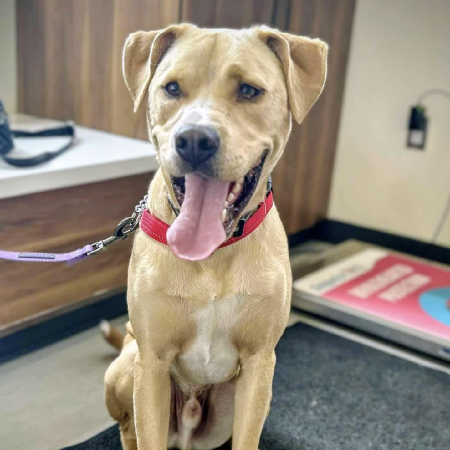 Moki (20250927-02) — thumbnail 2