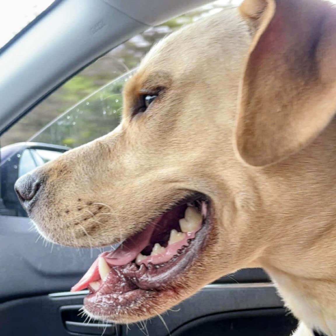 Moki (20250927-02) — thumbnail 3