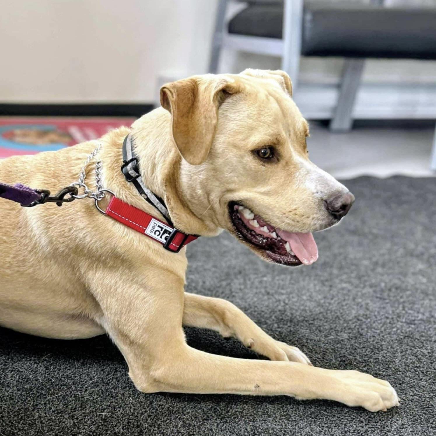 Moki (20250927-02) — thumbnail 4