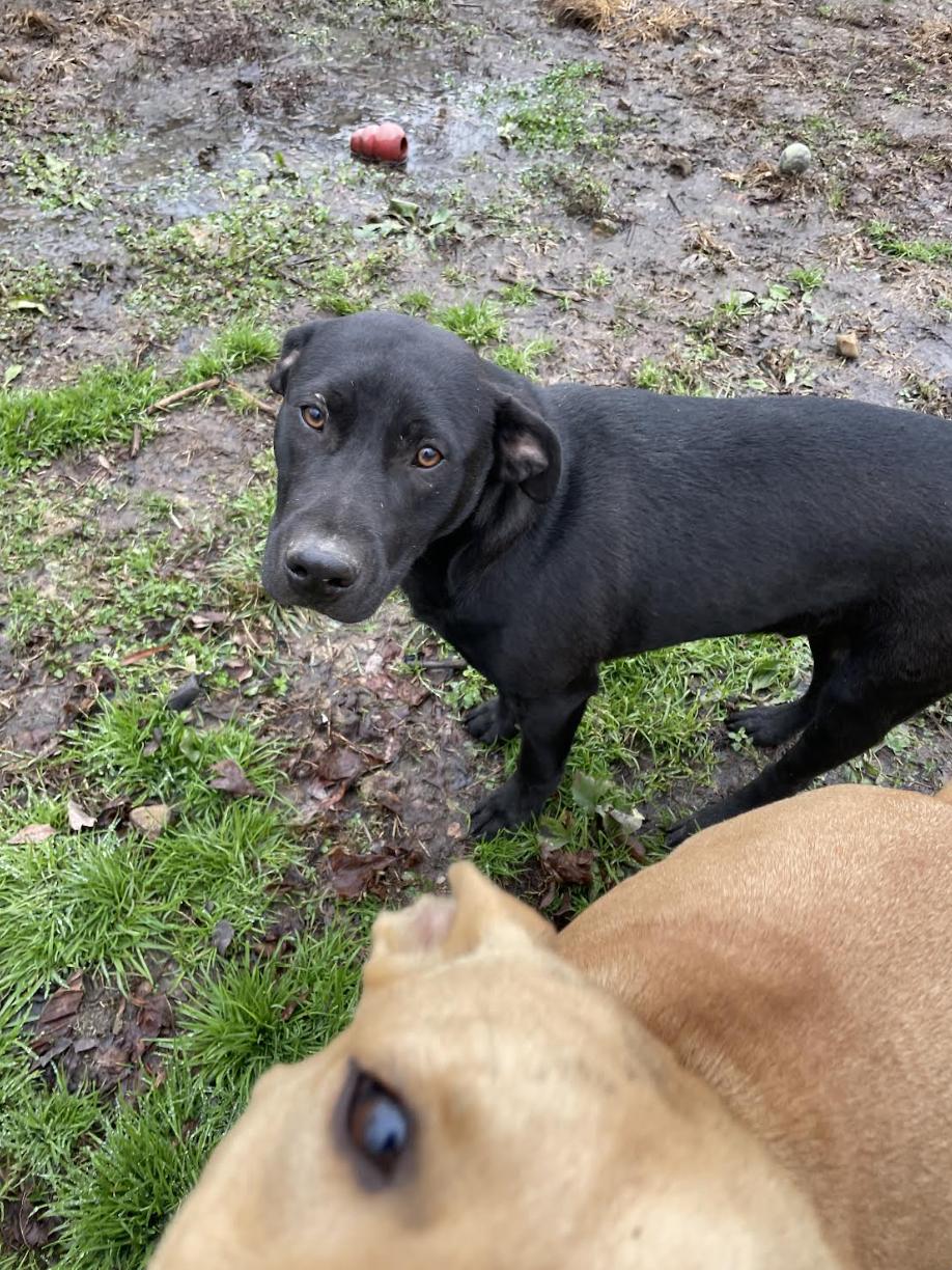 Wonka Wonderland thumbnail 2