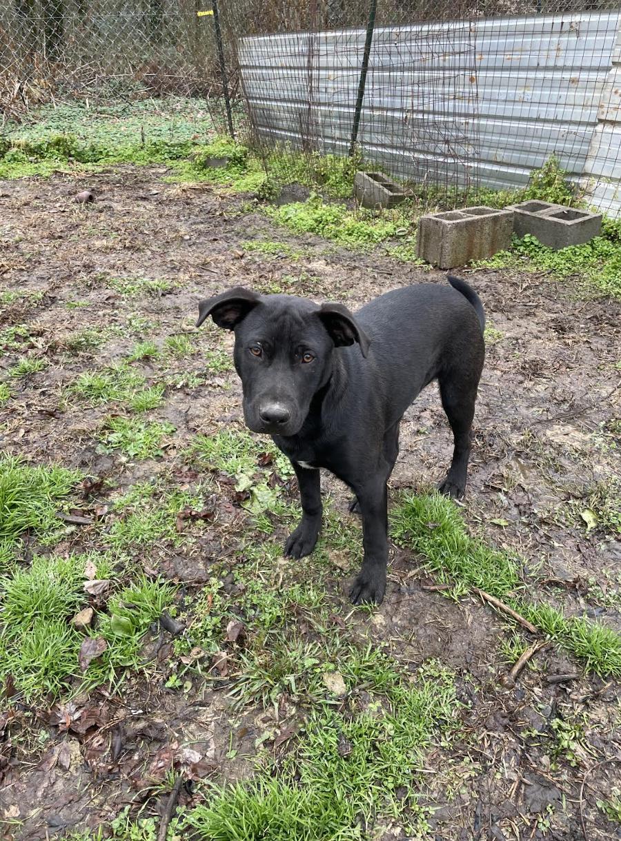 Wonka Wonderland thumbnail 3