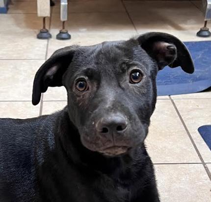 Wonka Wonderland thumbnail 5