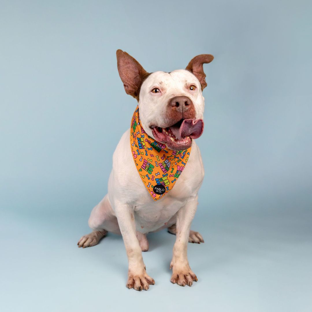 Drax — thumbnail 2