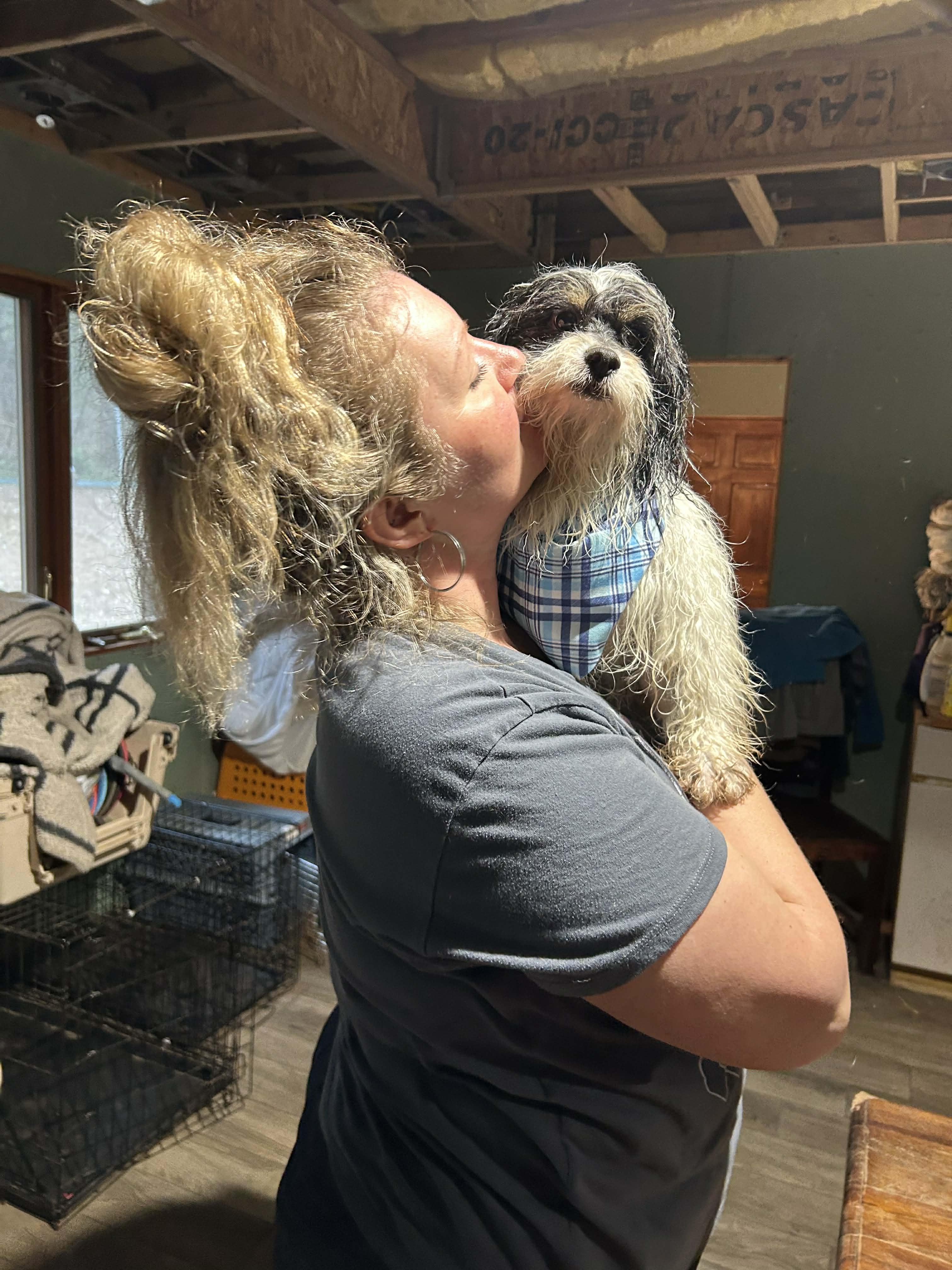 Enlarge Oreo, a Adoptable mixed breed in AUBURN, WA image 4/5