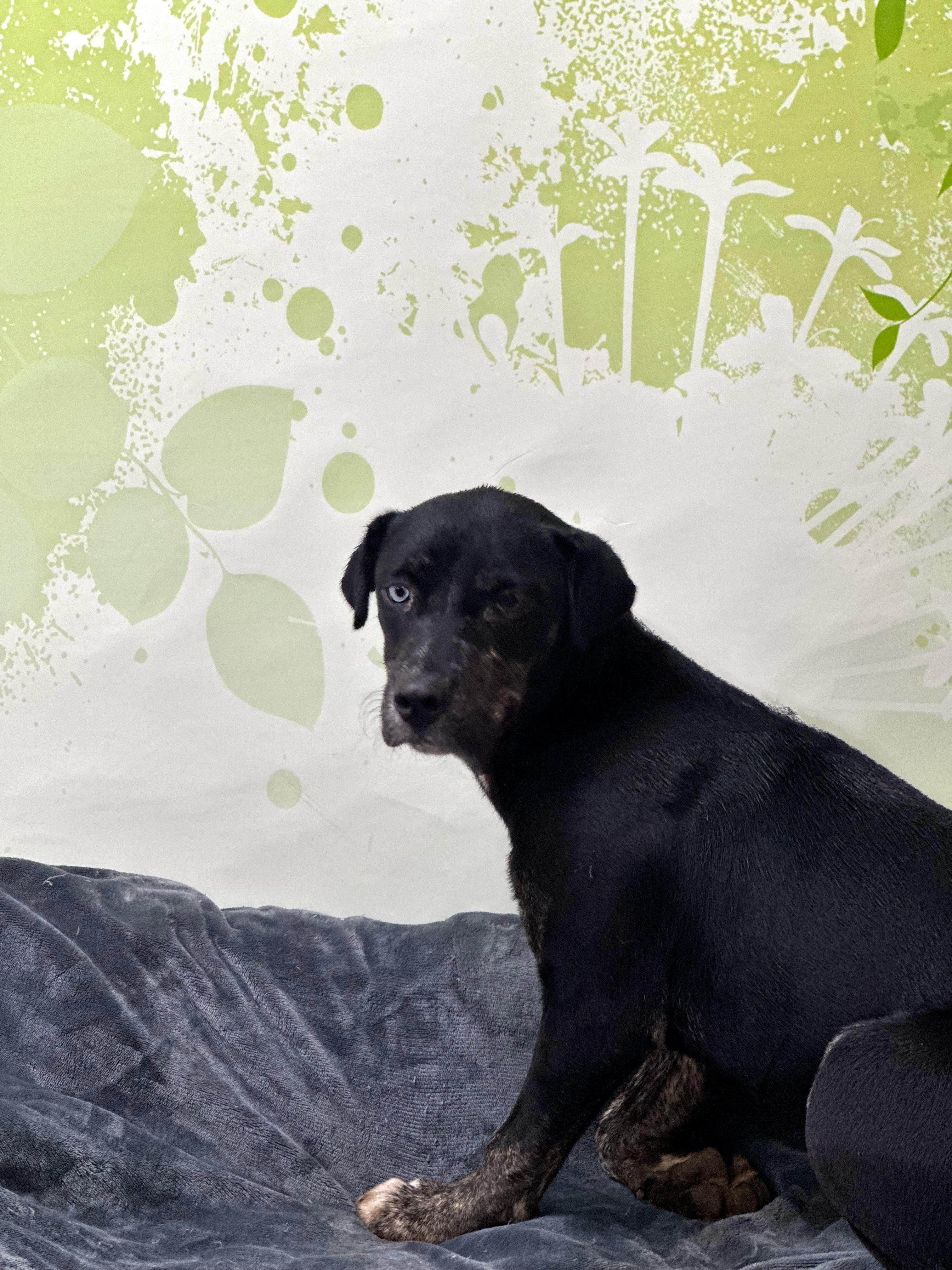 Lexi — thumbnail 2