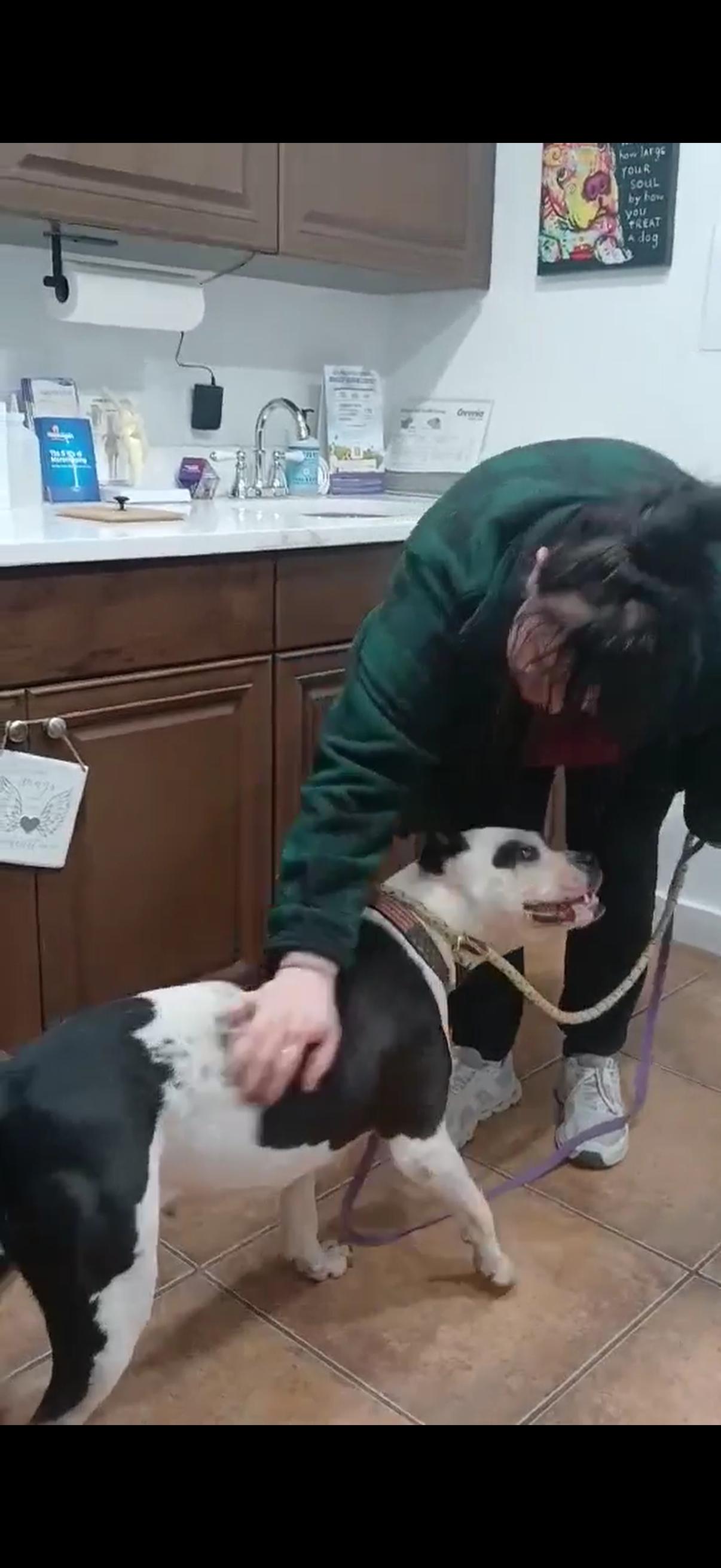 CHA CHA — thumbnail 4