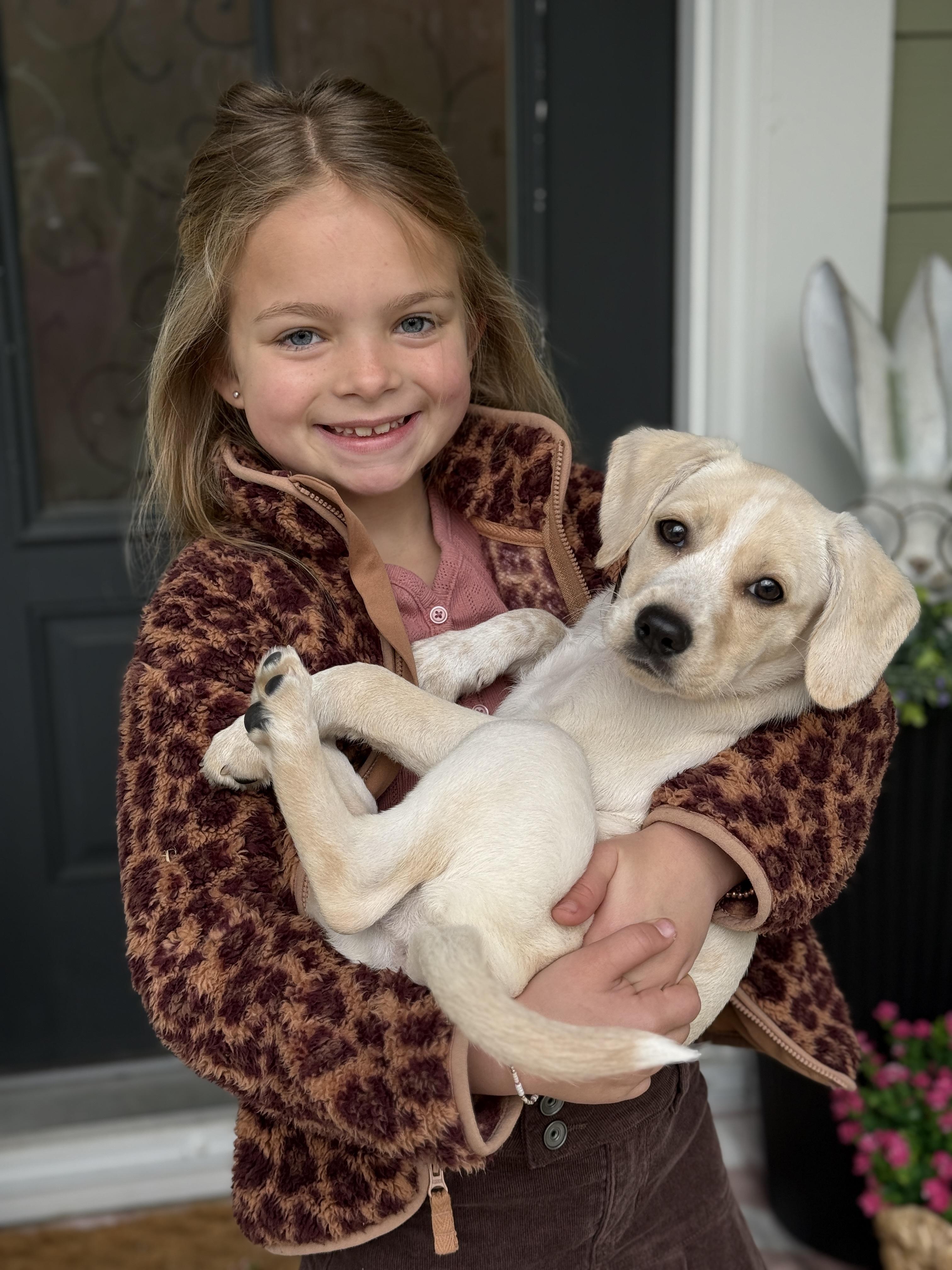 Enlarge Fry, an adoptable mixed breed in Mt Pleasant, SC image 1/6