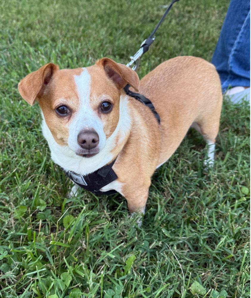 Rowdy Cp thumbnail 2