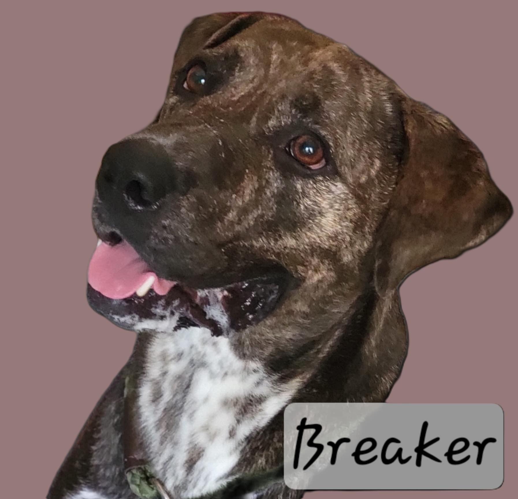 Breaker