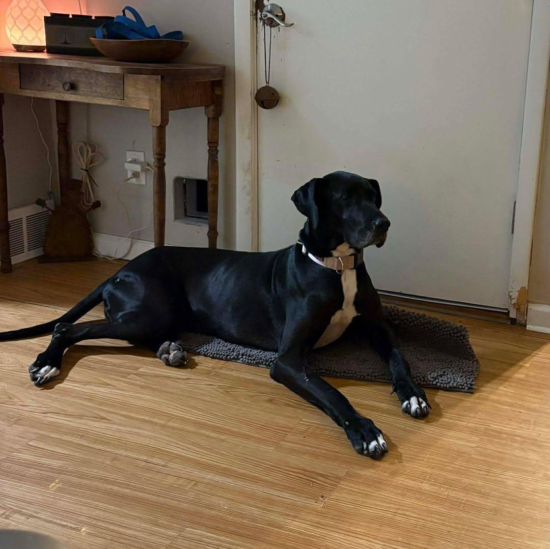 Sigourney thumbnail 2