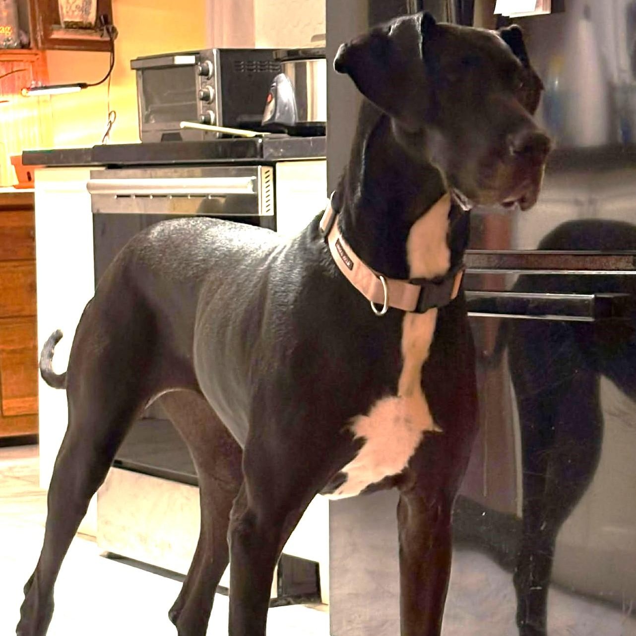 Sigourney thumbnail 3