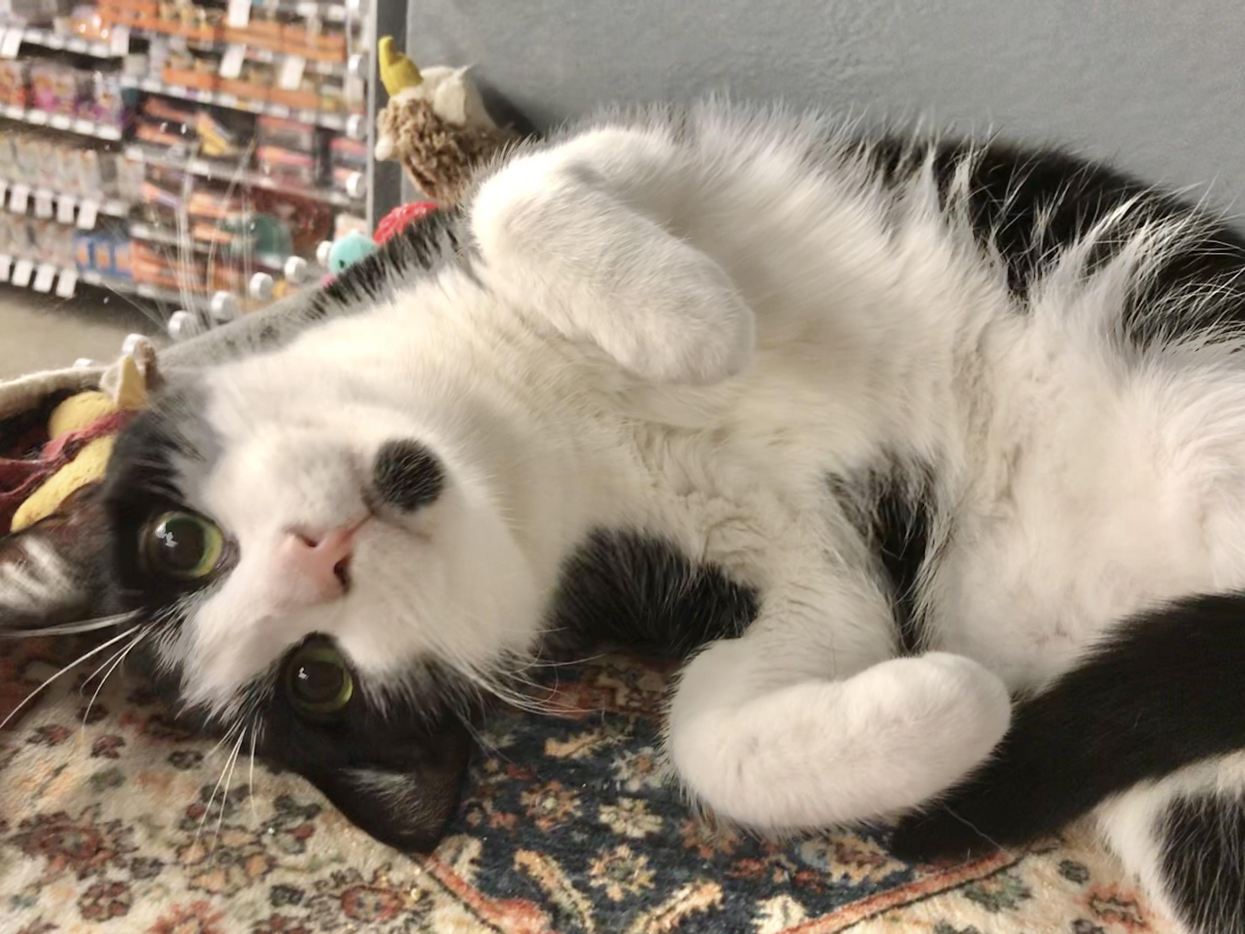 Arrow — thumbnail 5