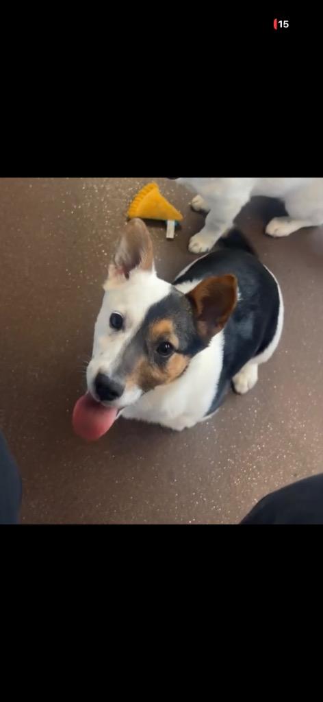 Candy — thumbnail 2