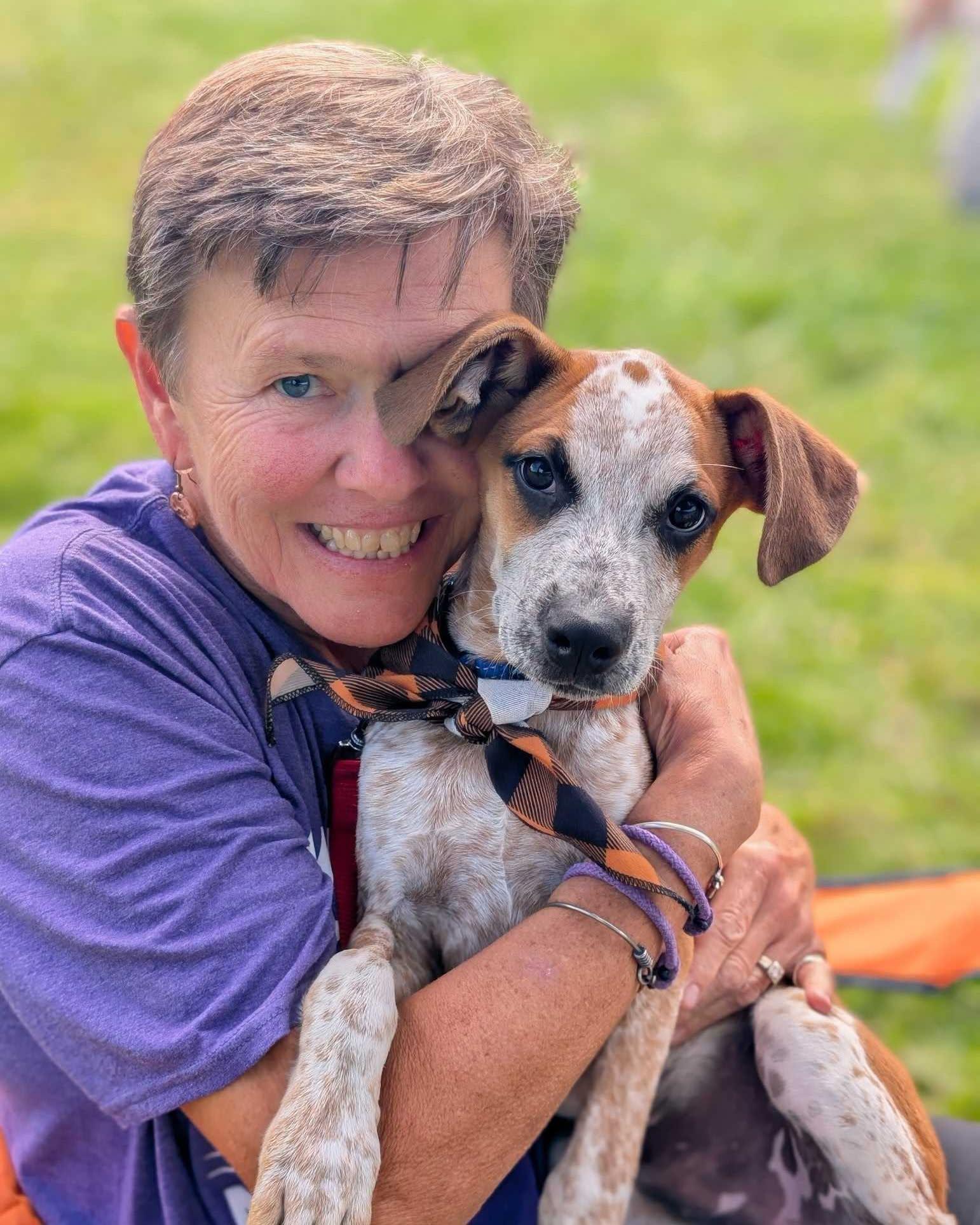 Enlarge Notty HERE IN NH, a Adoptable Mixed Breed in Northwood, NH image 1/2