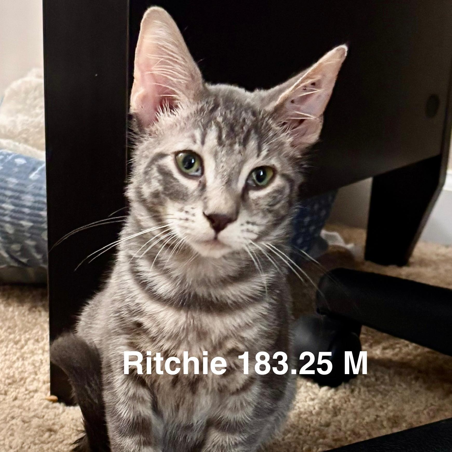 Foster Ritchie