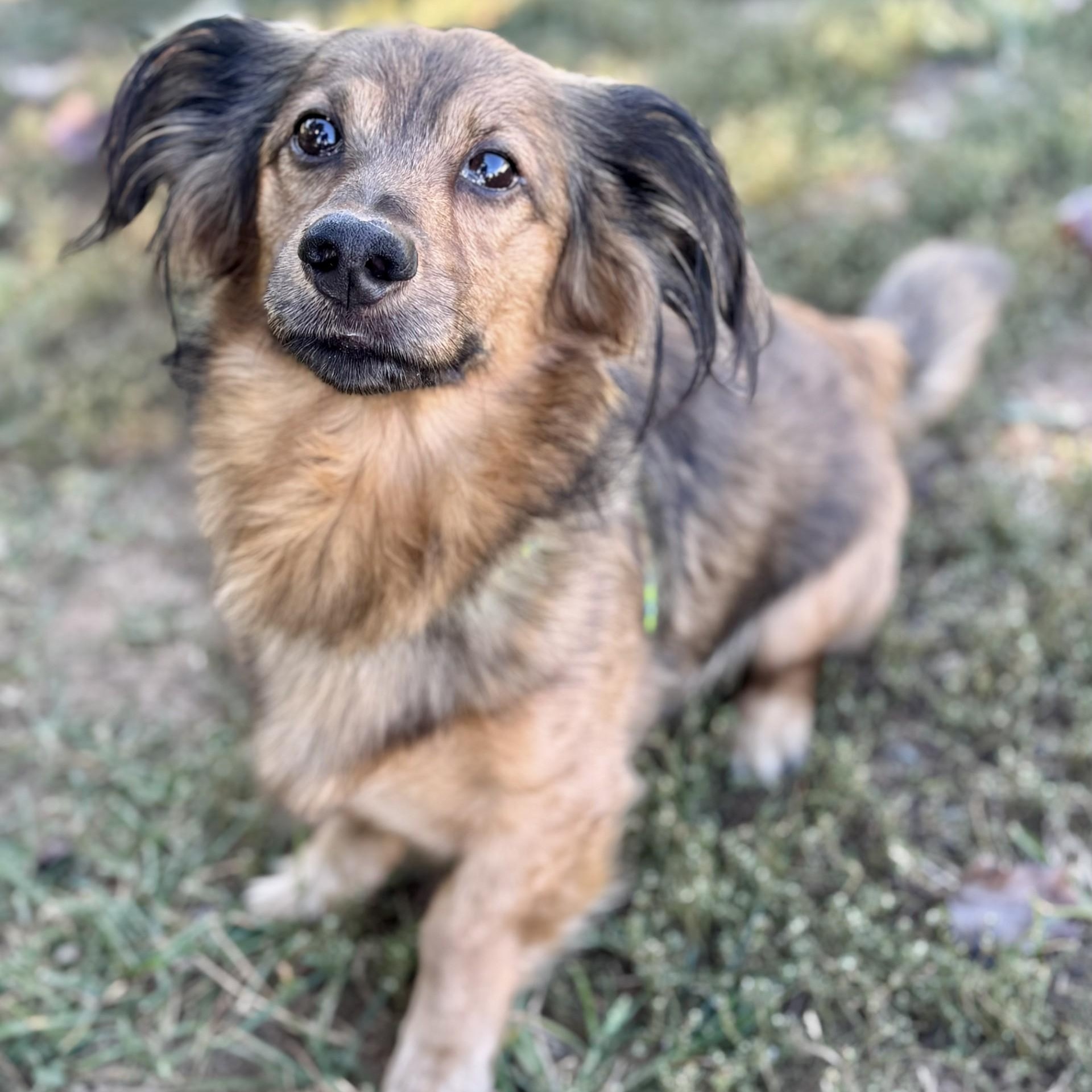 Macy (CONC-A-8965) & Teddy Vance (CONC-A-8966)