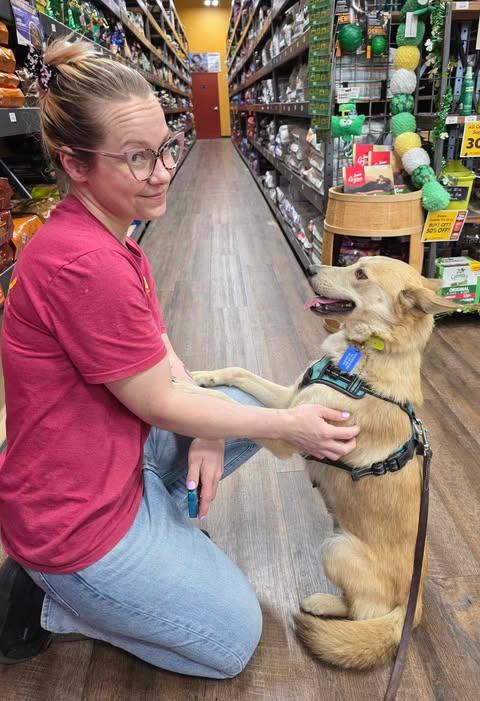 Enlarge Rikki (CAT FRIENDLY!!), an adopted mixed breed in Greeneville, TN image 3/6