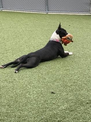 Kourt — thumbnail 2