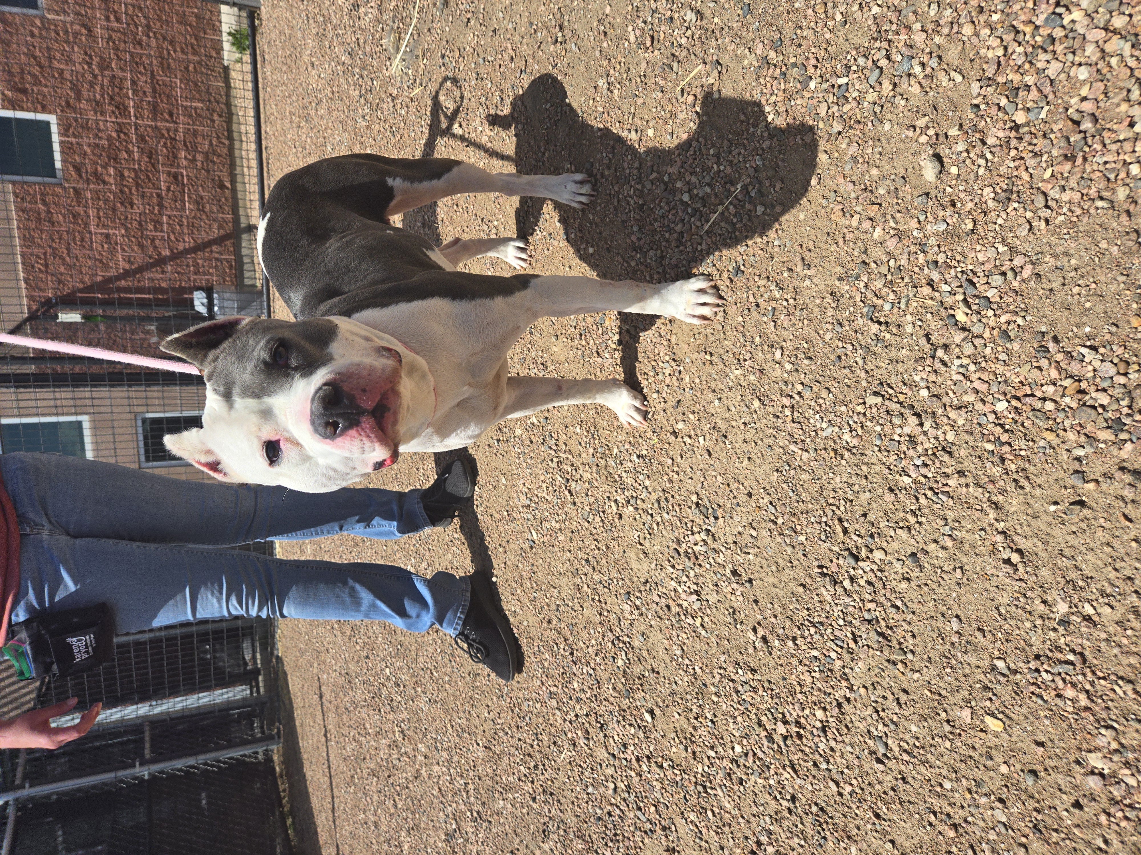 Lenny photo 2