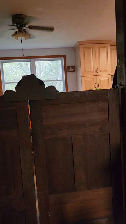 Enlarge Cooper, a Adopted mixed breed in Sturbridge, MA video 2/6