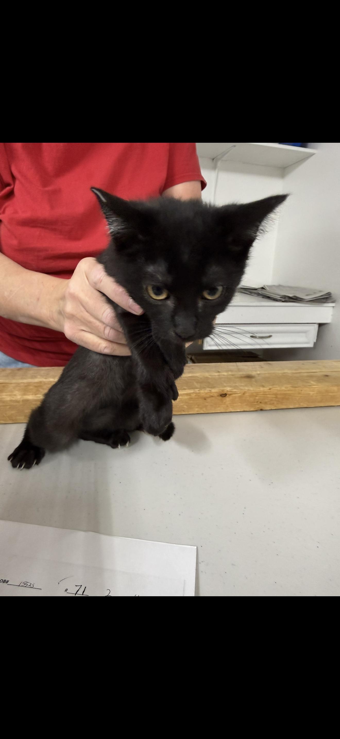 Red Nose thumbnail 2